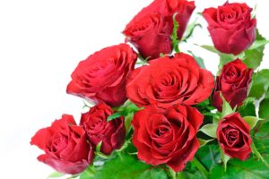 bouquet-of-roses