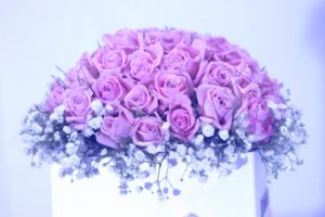 rose-wedding