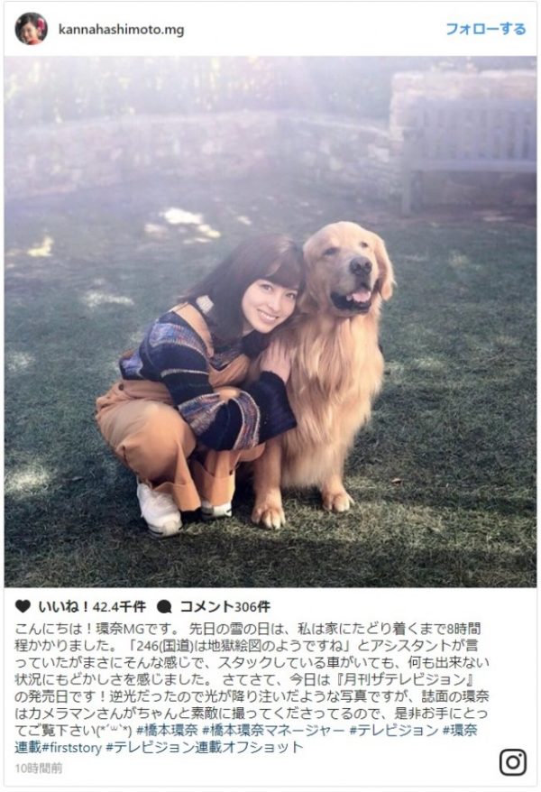 橋本環奈と犬２