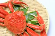 snow-crabアイキャッチ