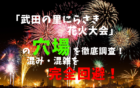 アイキャッチ武田の里にらさき花火大会