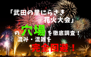 アイキャッチ武田の里にらさき花火大会