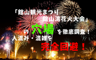 アイキャッチ館山観光まつり館山湾花火大会