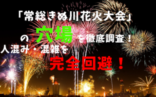 常総きぬ川花火大会常総きぬ川花火大会