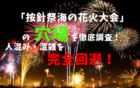アイキャッチ按針祭海の花火大会