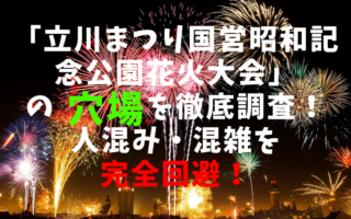 立川まつり国営昭和記念公園花火大会