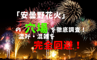 アイキャッチ安曇野花火